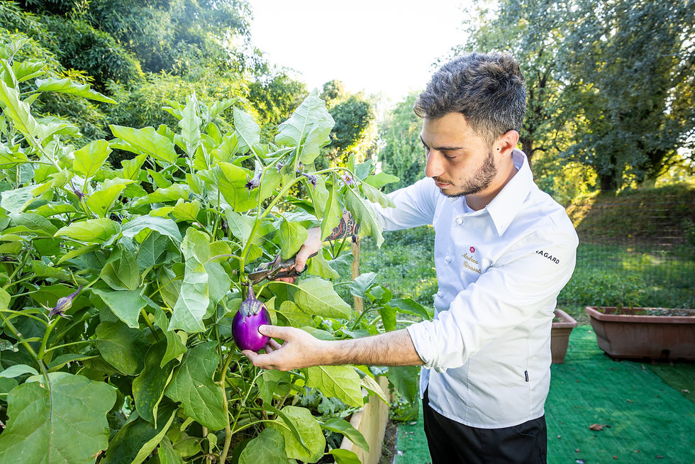 Il ristorante Butterfly a Lucca ha inaugurato un orto completamente biologico da cui arrivano molte delle verdure presenti sul menù.