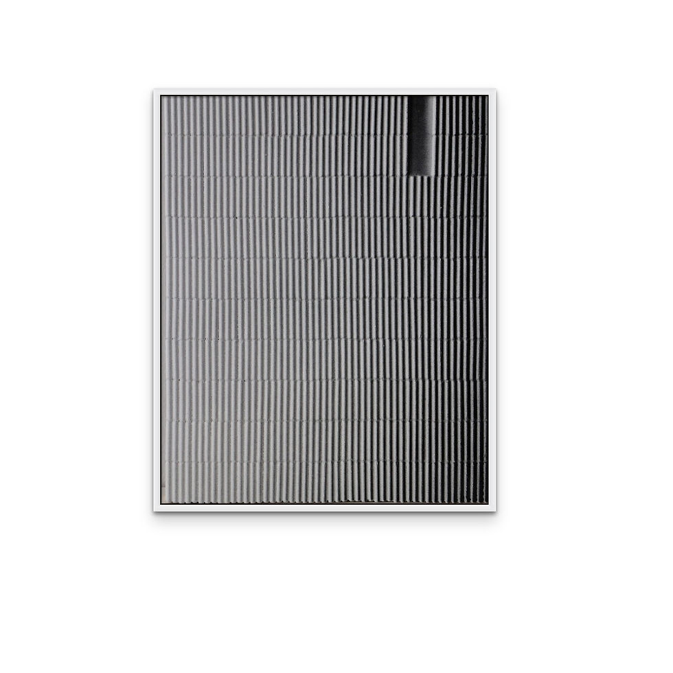 Thumbnail: White/ Black Rod by Jean Wolff