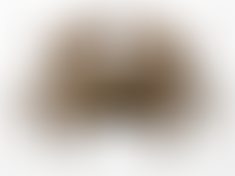 A Didrachm of Akragas