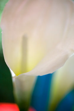 _MG_2626 copy