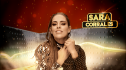 MQB vM MASTER (0-00-14-10)