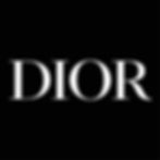 ottica-locchiale-logo-[dior]-arezzo