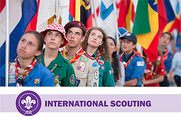 International - Modular training