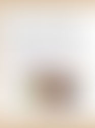 トトキッズクッキング『カラフルおはぎを作ろう！』開催日1/8木・15木