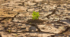 dry-earth.jpg