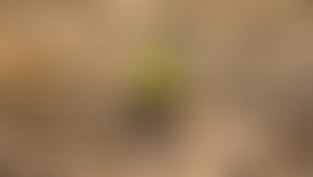 El cambio climático y el reajuste institucional de la política agraria y ambiental