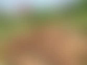 Áreas de Protección para la Producción de Alimentos: entre la necesidad nacional y la autonomía local