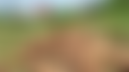 Áreas de Protección para la Producción de Alimentos: entre la necesidad nacional y la autonomía local