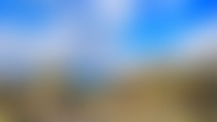 La utopía de la T-361 de 2017