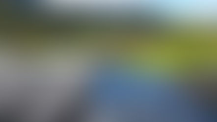 Antecedentes y memorias del ordenamiento ambiental del territorio en Colombia: Una mirada al CONPES 1408 de 1976 - Programa de Parques Nacionales Naturales