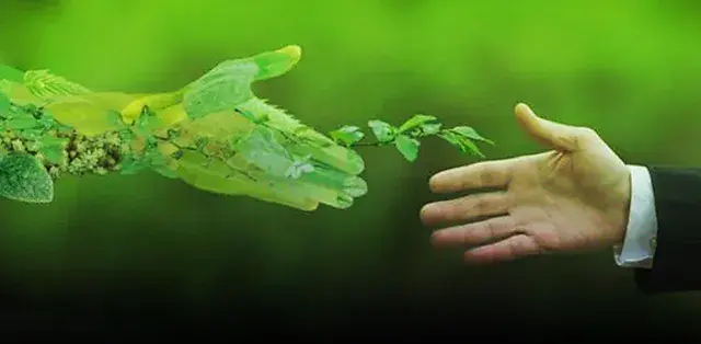 La exequibilidad del acuerdo de Escazú: retos y oportunidades para la gestión ambiental en Colombia.