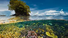 La Diversidad Biológica y su Importancia en el Planeta Tierra