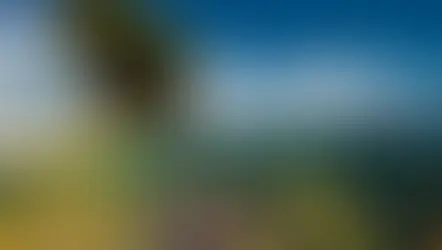 La Diversidad Biológica y su Importancia en el Planeta Tierra