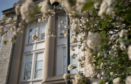 Screen Shot 2018-02-16 at 2.43.18 PM.png