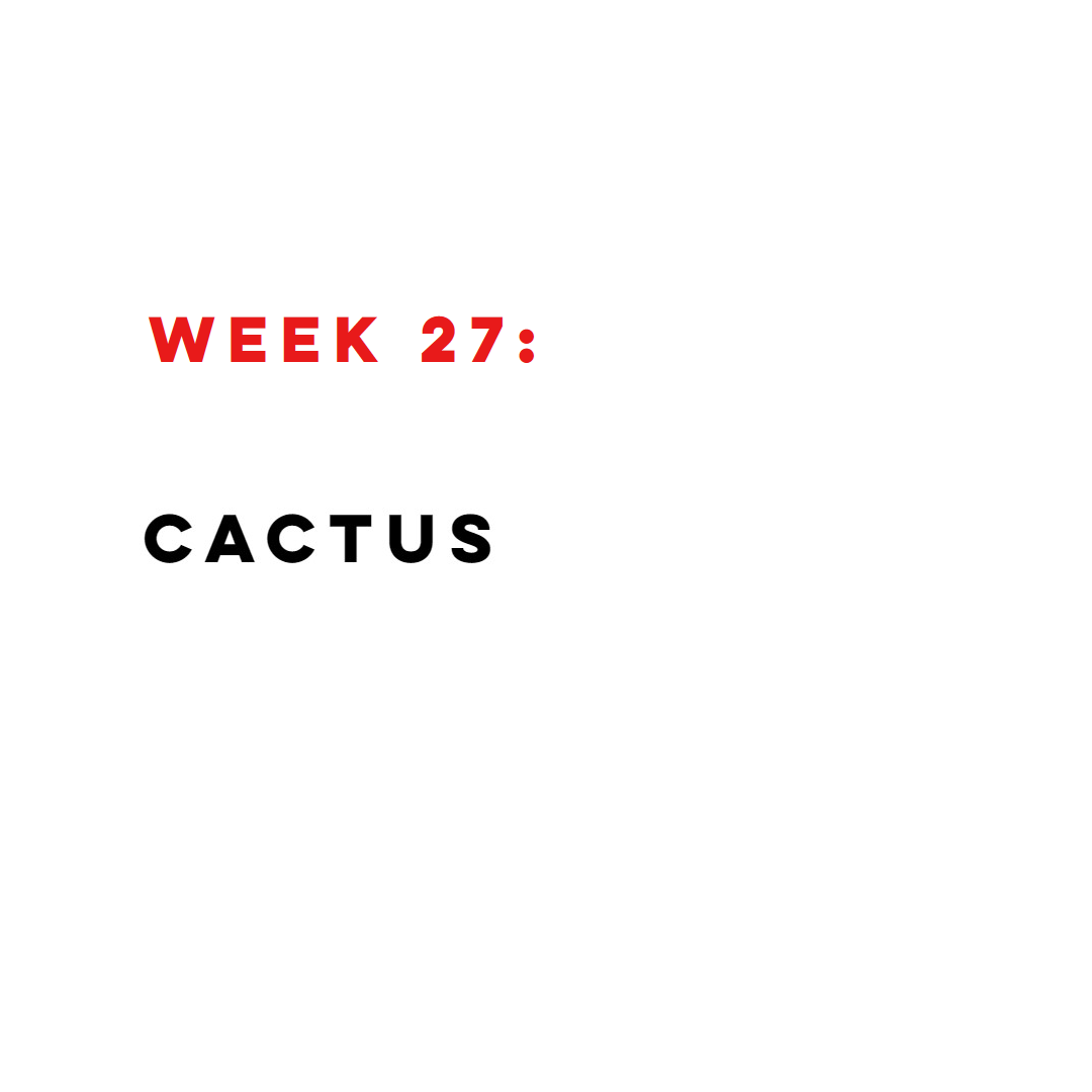 WEEK 27 FINAL