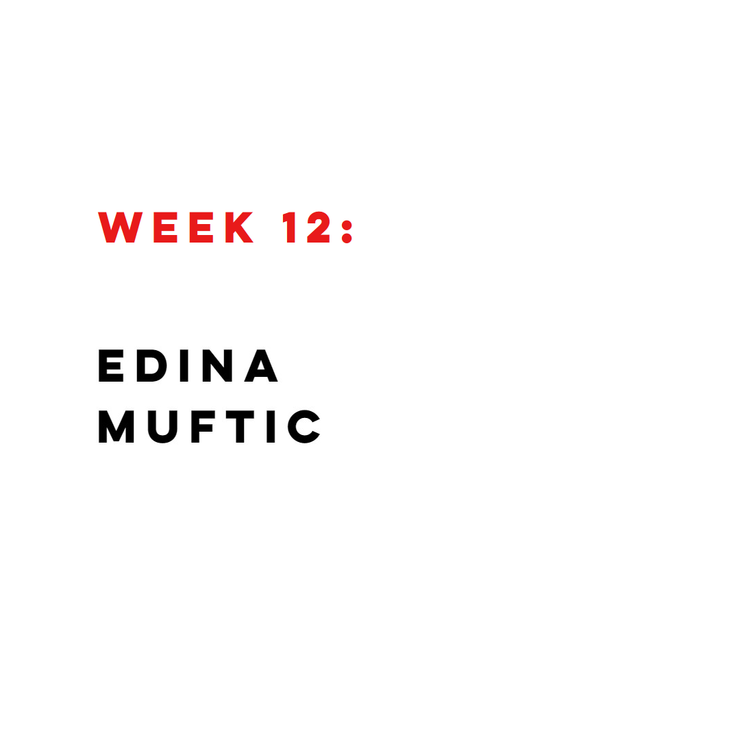 WEEK 12 FINAL
