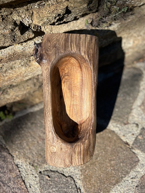 Miniature : Au creux d'une souche