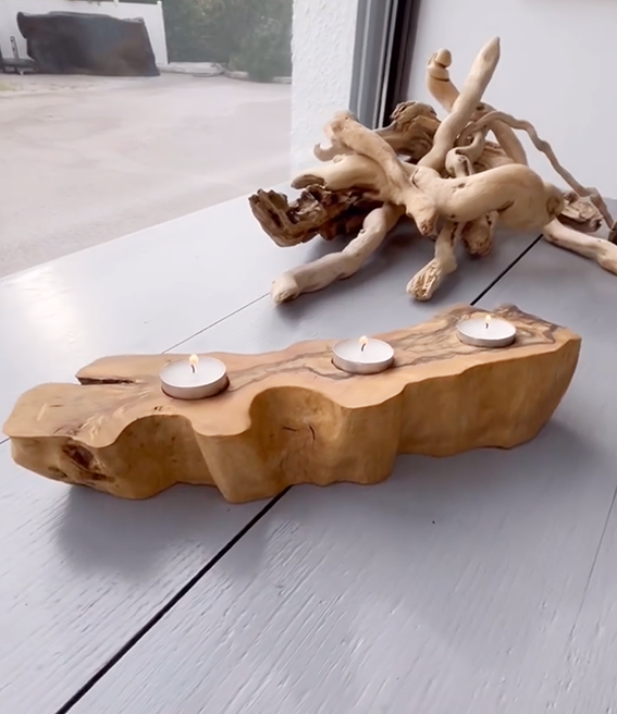 Miniature : L'olivier en Bougie