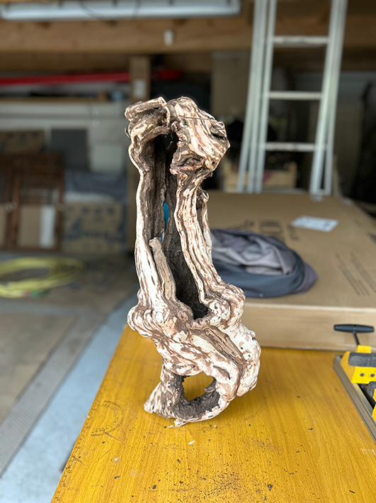 Miniature : Pied de Vigne