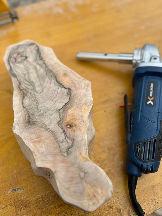 Miniature : La Lumière de l'olivier