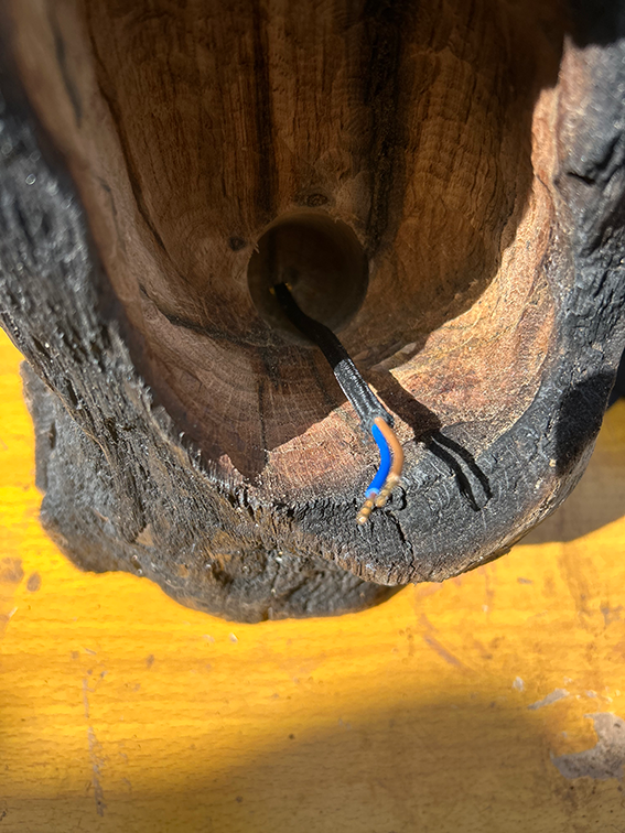 Miniature : La Flamme