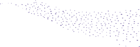 A dotted element to decorate the website.