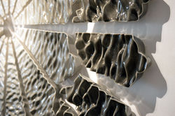 Reduce Me to Silence detail