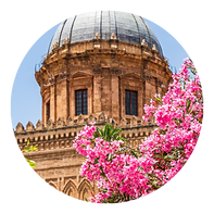 City N Trip (24).png