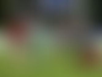 Dogos y Peñarol son los finalistas del Súper Rugby Américas