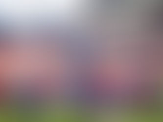 Chile dejó pasar una gran chance ante Samoa