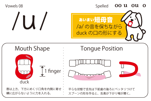 book08_u.gif