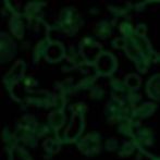 Original 9_edited_edited.jpg