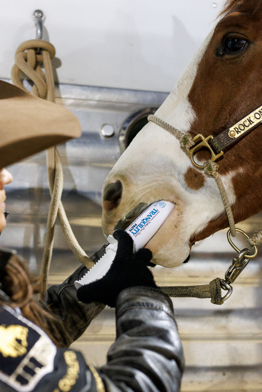 Discover the Benefits of Tranquility for Your Equine Athlete