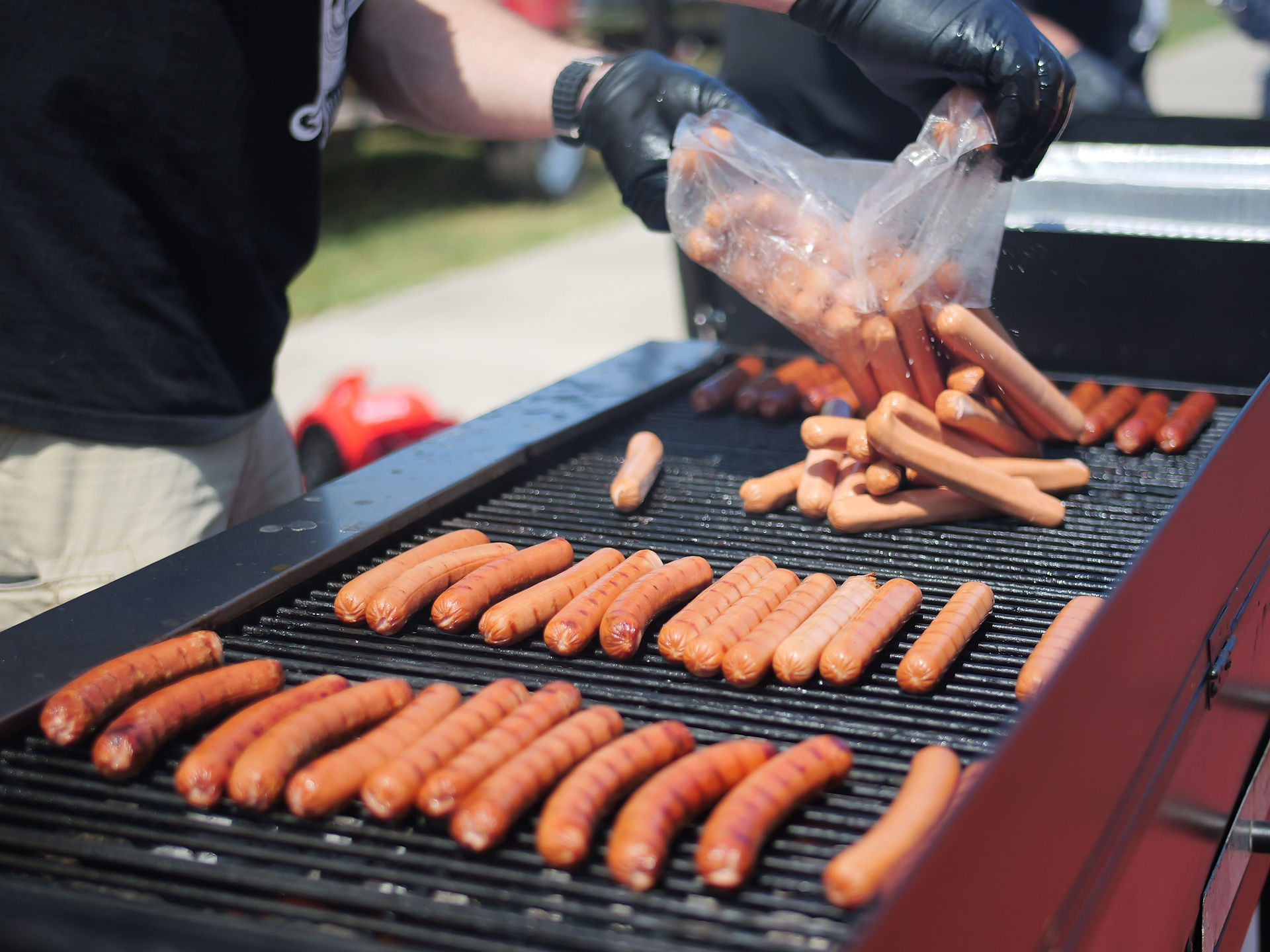 Hot Dog Day