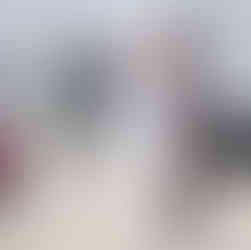 Incarceration Program