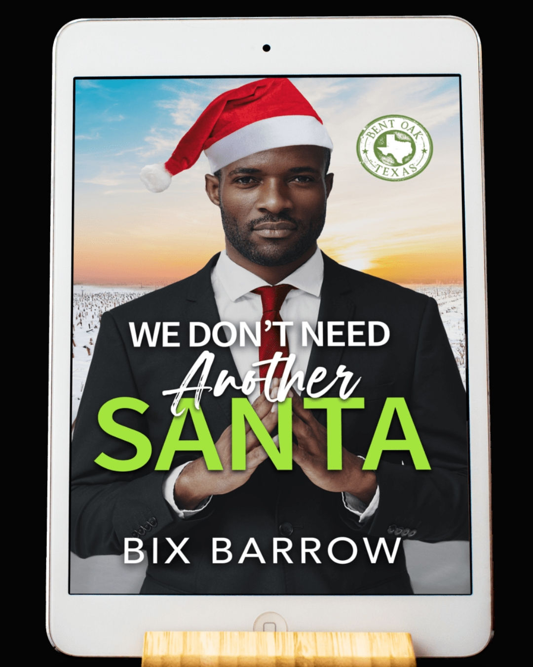 We Don't Need Another Santa eBook