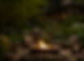 new.png