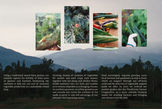 Pamphlet design (all analog photographs) for Wood Grain Farm, BC, Canada