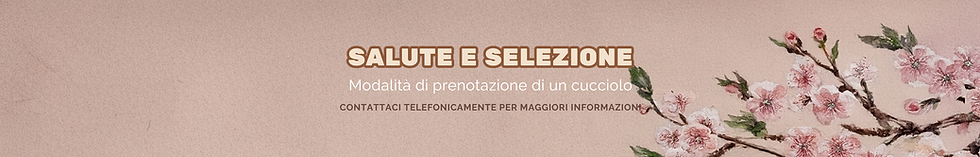 ALLEVARE CON AMORE, SELEZIONARE CON COSCIENZA, FAR CRESCERE CUCCIOLI SANI ED EQUILIBRATI I