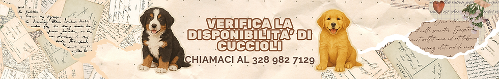 ALLEVARE CON AMORE, SELEZIONARE CON COSCIENZA, FAR CRESCERE CUCCIOLI SANI ED EQUILIBRATI I
