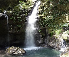 tingo mariaaaaa.jpg