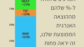 למה פעילות גופנית היא דרך די גרועה לרדת במשקל?