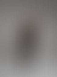 Apelacja w sprawach gospodarczych Gdańsk