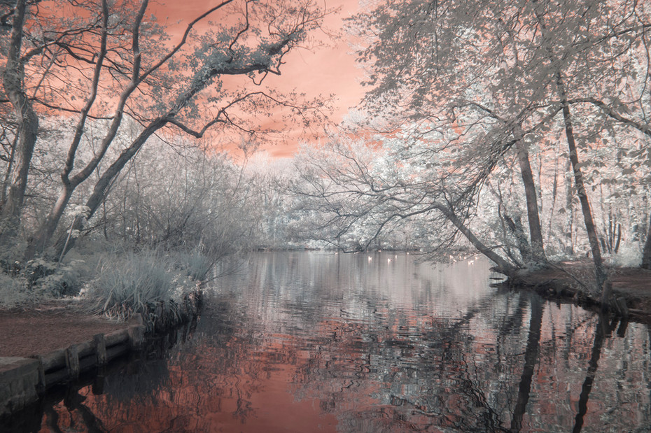 Fig. 5 - Future Reflections. The reflection of the white trees in the red lake is surprisingly clear.