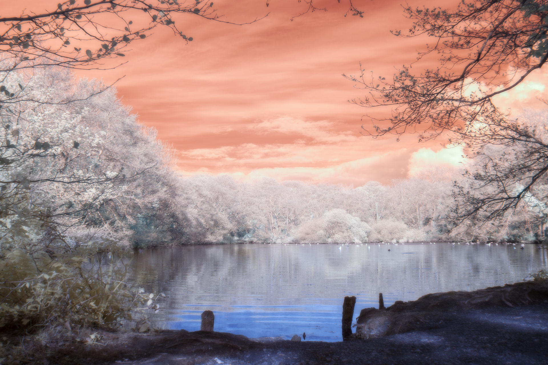 A tranquil blue lake reflects the surrounding white-leafed forest, contrasting with the ominous red sky.