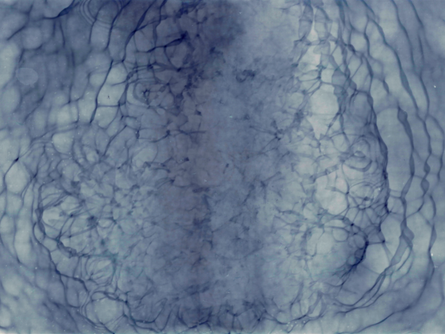 Developing An Analogue Hobby In The Digital Age - All About Alternative Photography