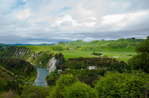 DSC_0493.jpg