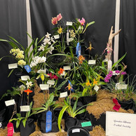2022 OSWP Spring Show