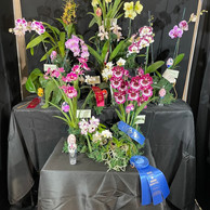 2022 OSWP Spring Show