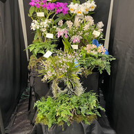 2022 OSWP Spring Show